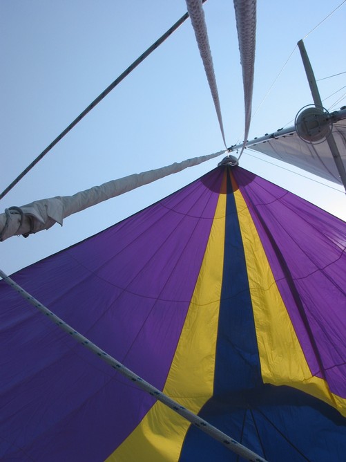 Spinnaker from Below