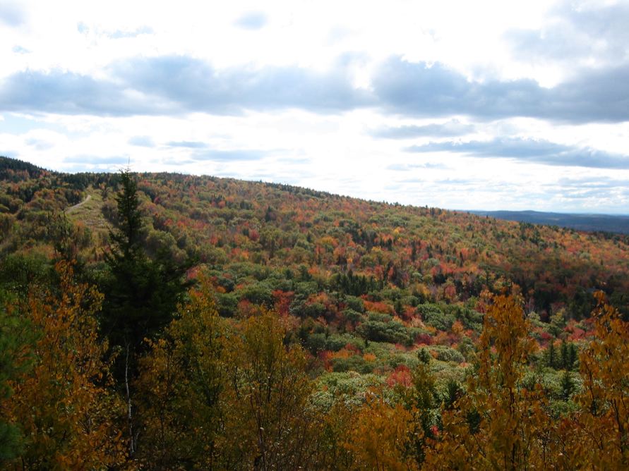 View from Pack Monadnock