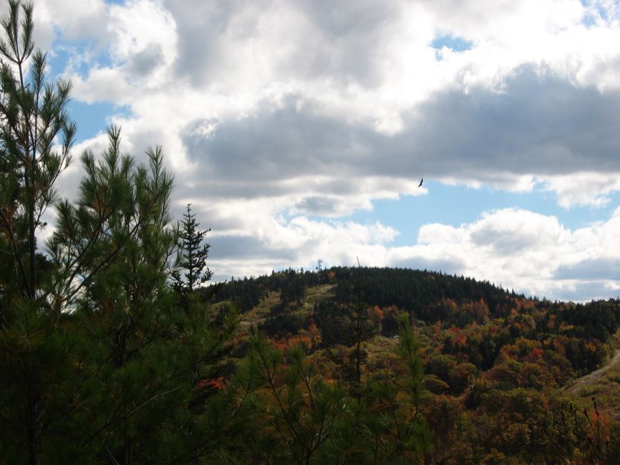 View from Pack Monadnock