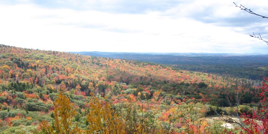 View from Pack Monadnock