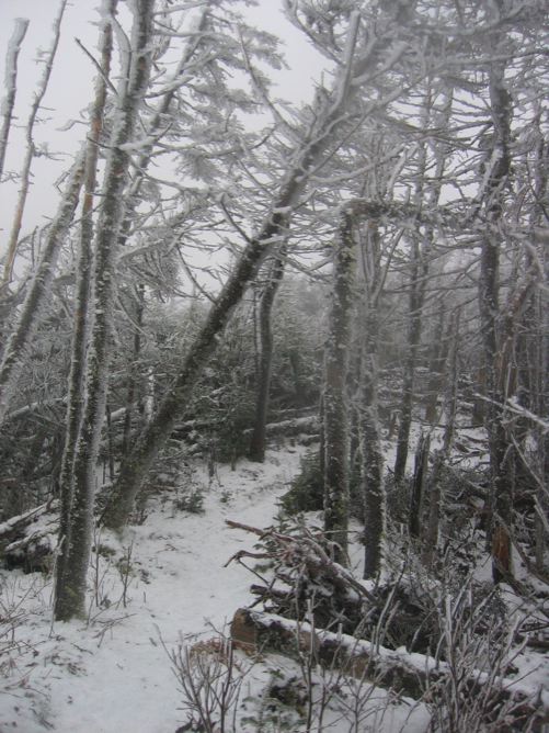 Mt. Tom, NH Summit