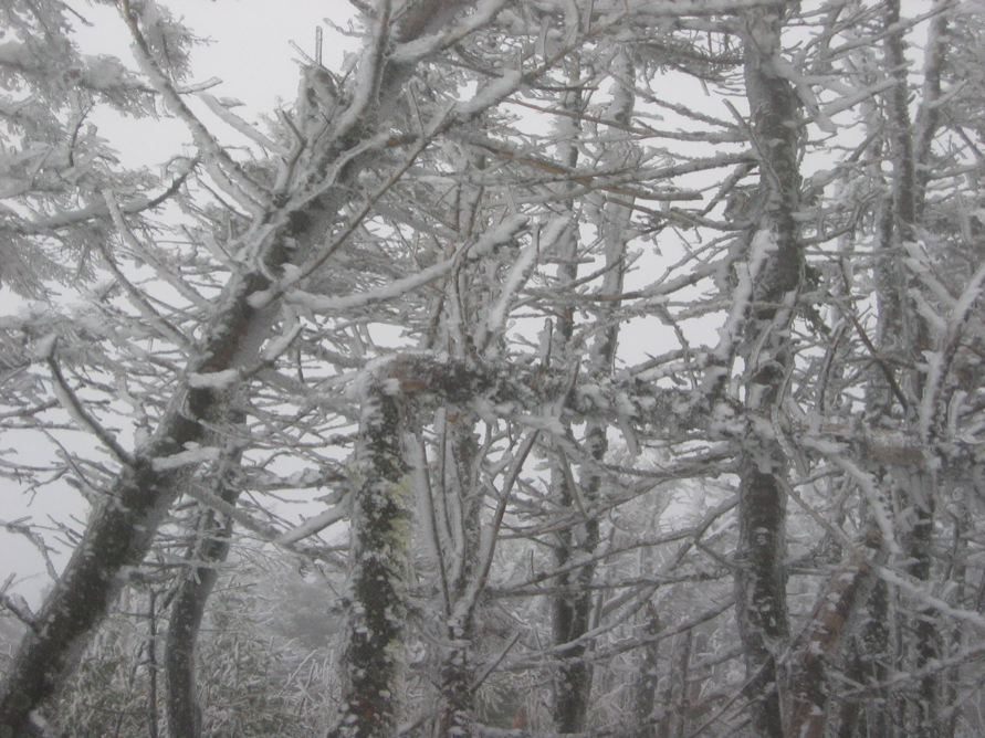 Mt. Tom, NH Summit