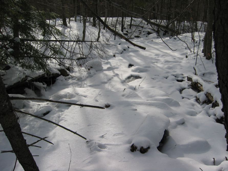 Mt. Monadnock, NH