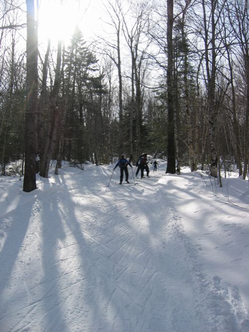 Bretton Woods X-C skiing