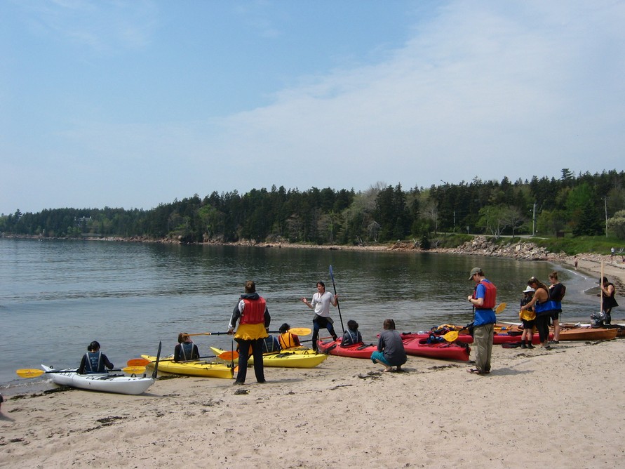 Kayakers at Seal Harbor