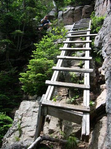 Ladder at Cannon Mt.