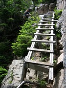Ladder at Cannon Mt.