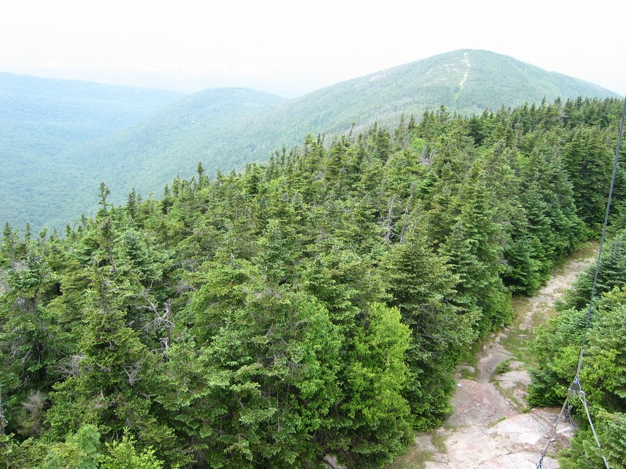 Near Summit of Cannon Mt.