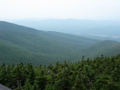 View from Tower on Cannon Mt.